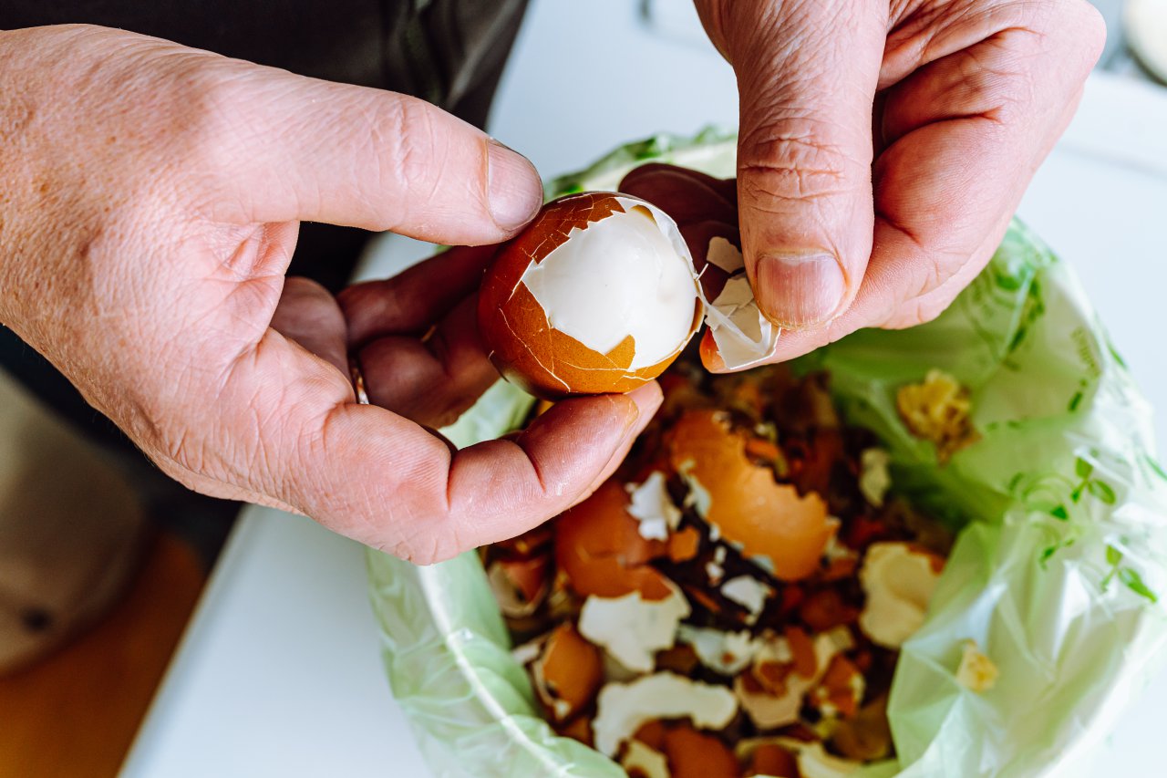 Ajoutez des coquilles d'œufs dans vos déchets alimentaires