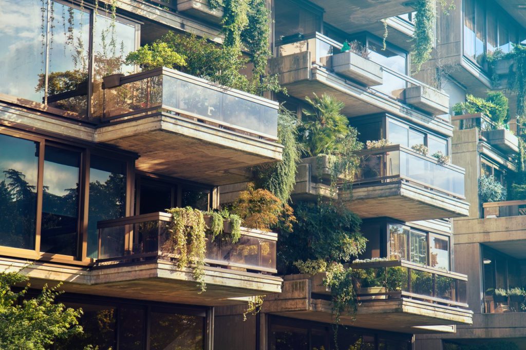 balcons avec plantes vertes
