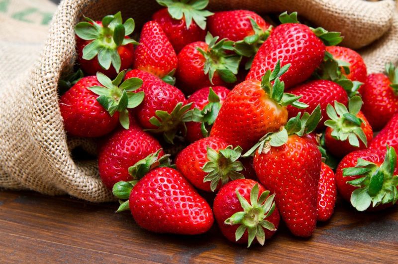 Conseils fraise jardin