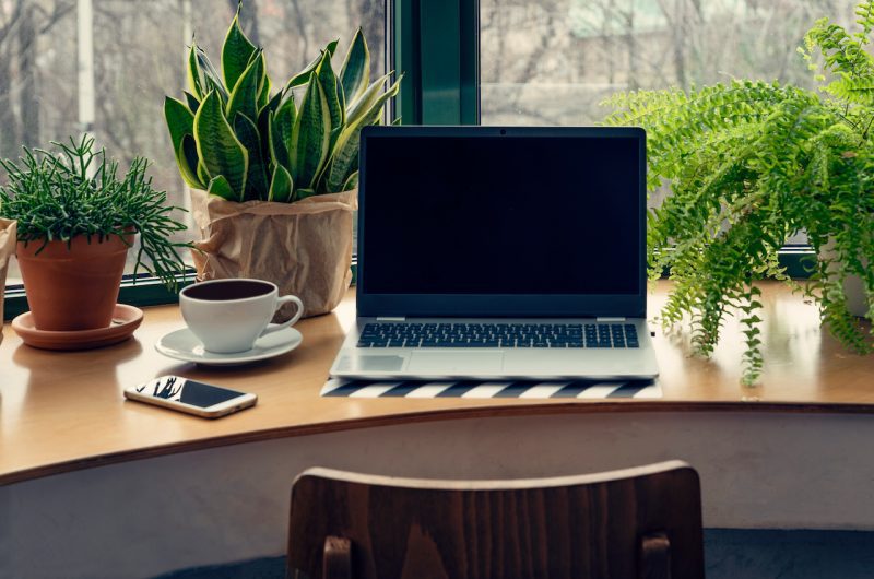 meilleures plantes bureau