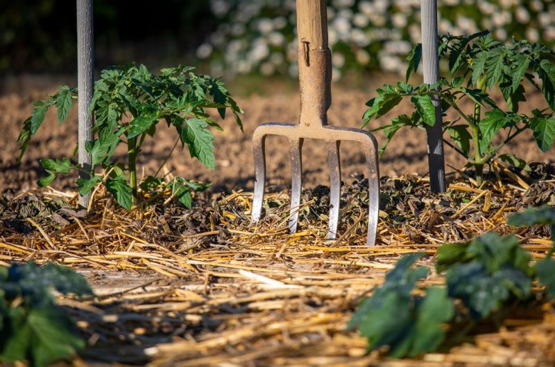 Outils aérer terre jardin