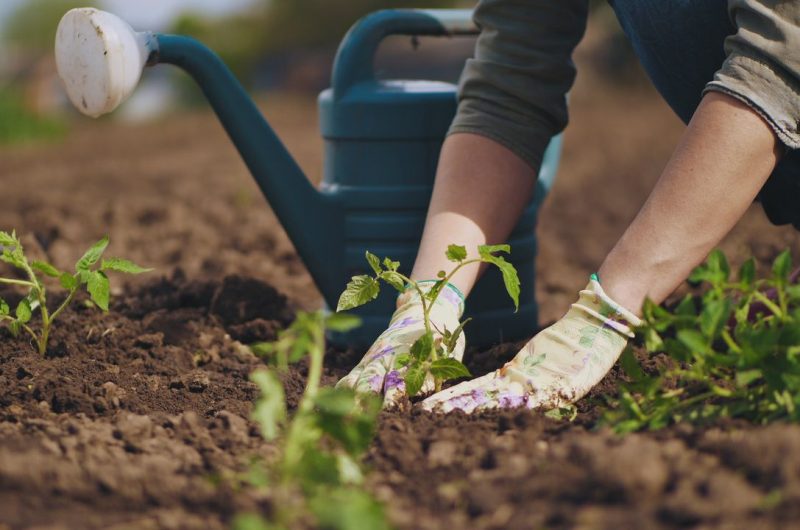 Travaux jardin avril