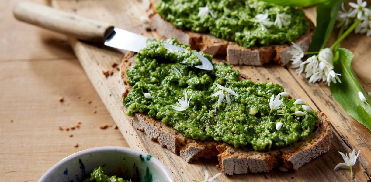 recette pesto ail des ours