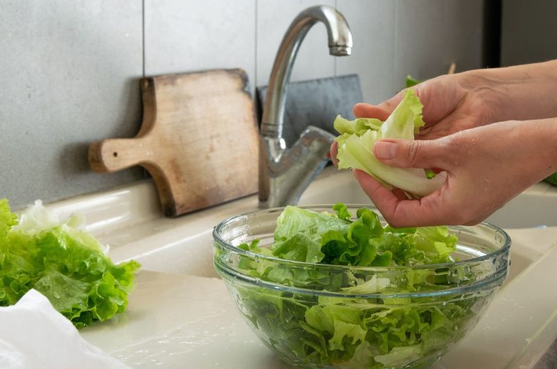 conserver salade longtemps