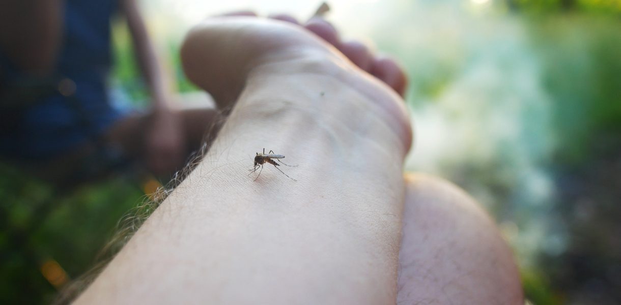 Piqures de moustiques : évitez ces parfums de gel douche pour passer un bel été sans vous faire piquer
