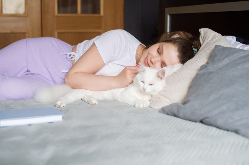 Voici pourquoi votre chat veut absolument dormir avec vous selon les experts