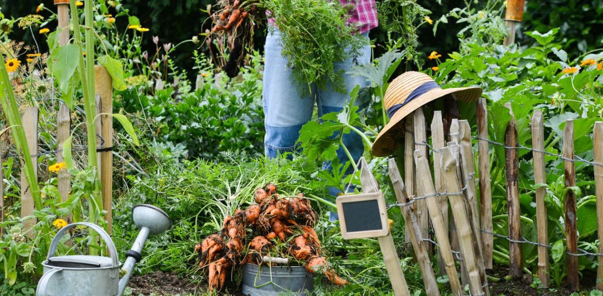 Astuces incontournables créer jardin écologique durable