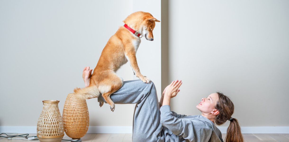 Le doga : les bienfaits de faire du yoga avec son chien