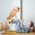 Le doga : les bienfaits de faire du yoga avec son chien