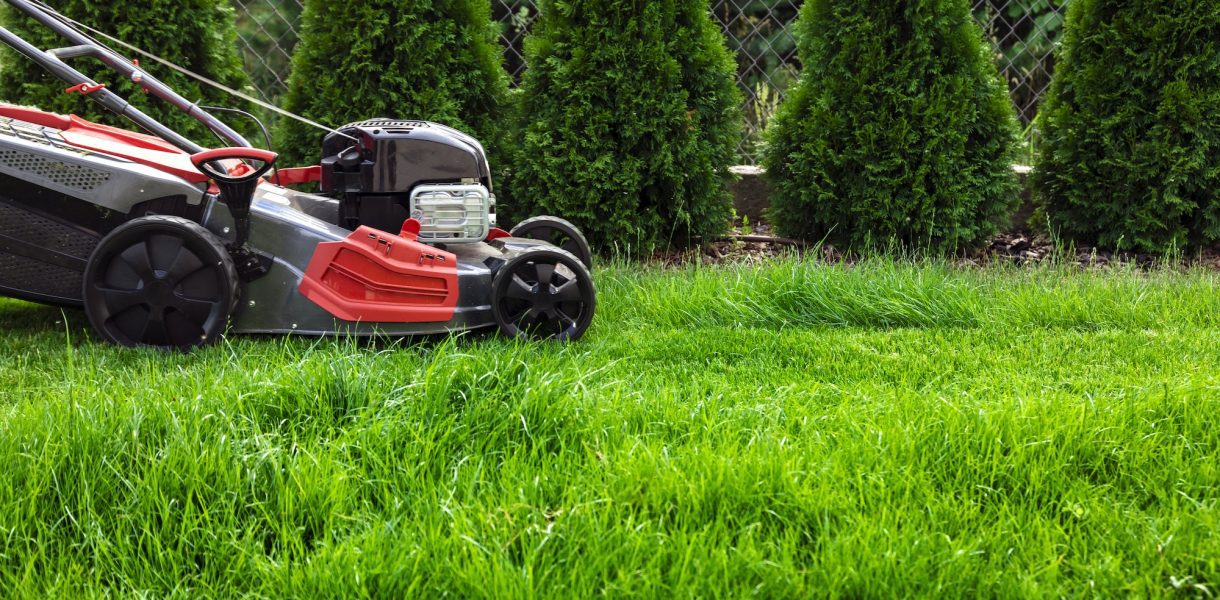 Le Mulching : une technique révolutionnaire pour tondre efficacement votre pelouse