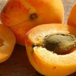 Noyaux d'abricots