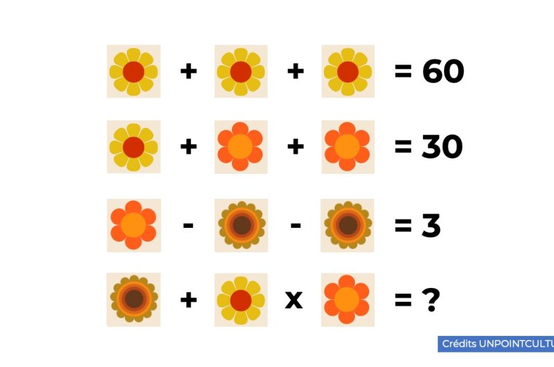 Problème mathématique calcul des fleurs à résoudre en 10 secondes max