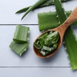 Découvrez les Secrets de l'Aloe Vera : Guide Complet pour Extraire et Utiliser le Gel d'une Feuille d'Aloe Vera