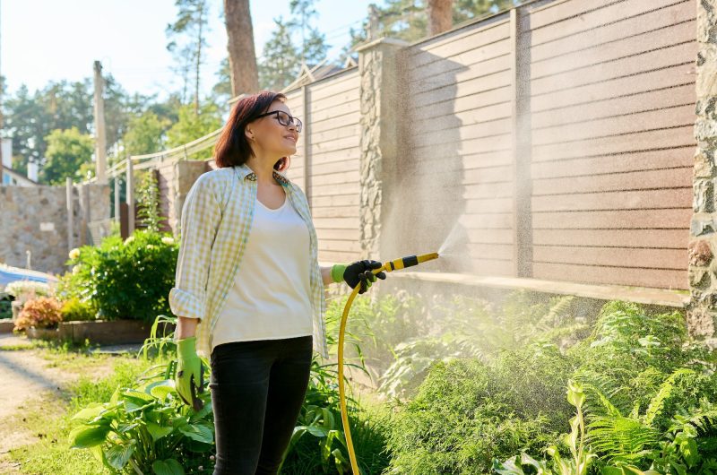 Arroser son jardin tous les jours : Une pratique judicieuse ou une habitude excessive ?