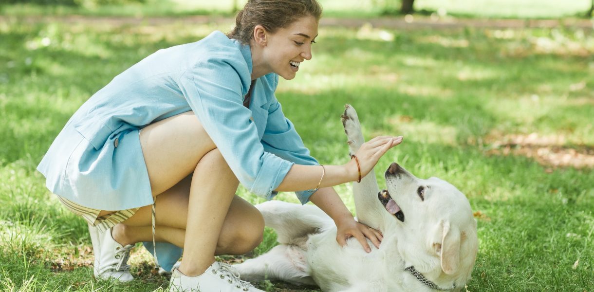 Leçon de sagesse canine : 5 enseignements de vie précieux à emprunter à votre chien