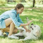 Leçon de sagesse canine : 5 enseignements de vie précieux à emprunter à votre chien