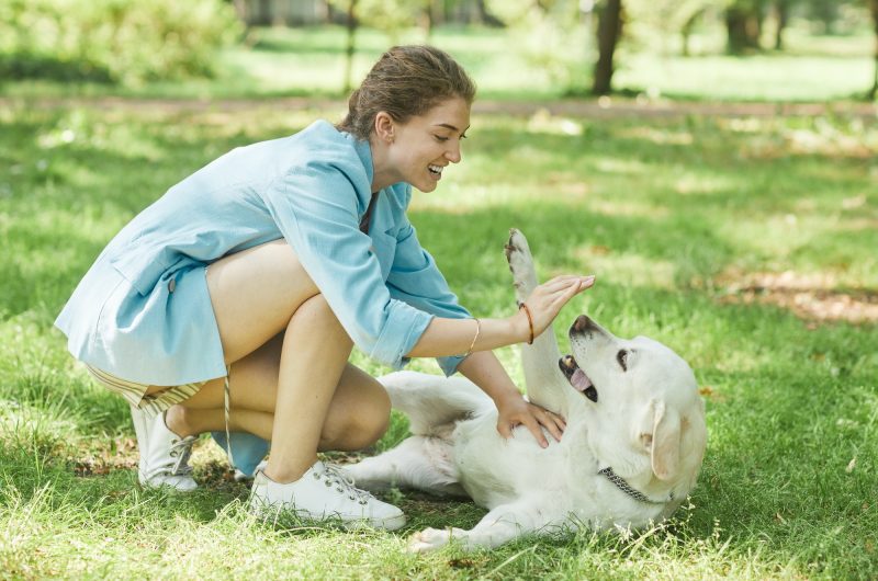 Leçon de sagesse canine : 5 enseignements de vie précieux à emprunter à votre chien