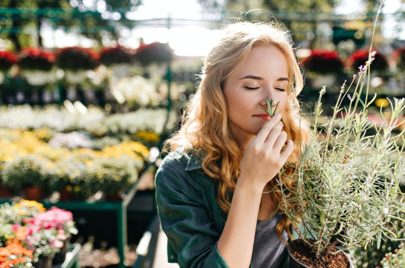 Ces quatre odeurs influencent positivement votre moral