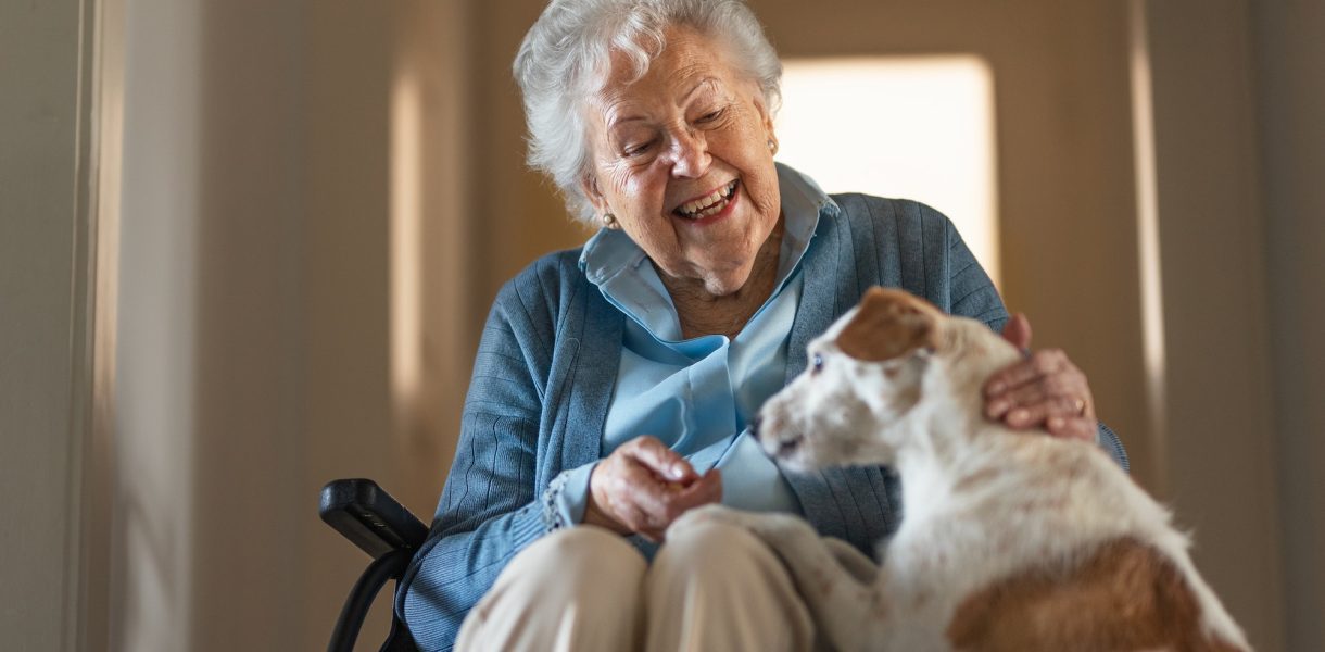 Les animaux de compagnie : une aide précieuse pour les personnes âgées