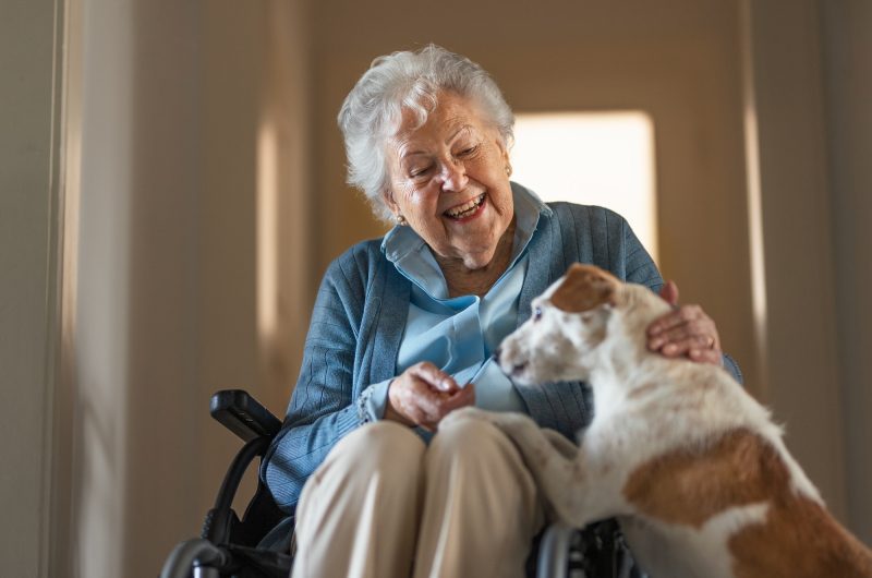 Les animaux de compagnie : une aide précieuse pour les personnes âgées