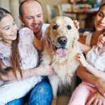 Le chien, ce membre inestimable de la famille : comprendre l'importance de nos compagnons canins