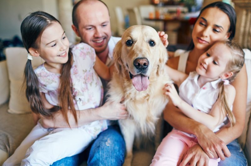 Le chien, ce membre inestimable de la famille : comprendre l'importance de nos compagnons canins
