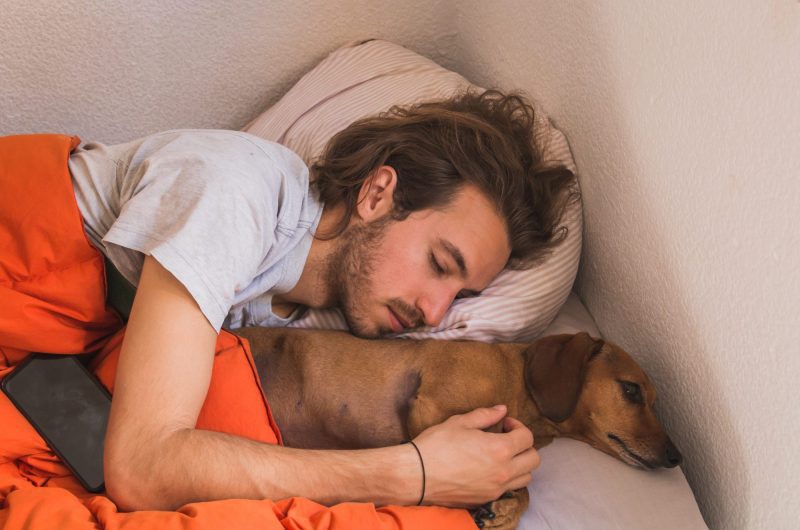 Voici pourquoi votre chien veut absolument dormir avec vous selon la science