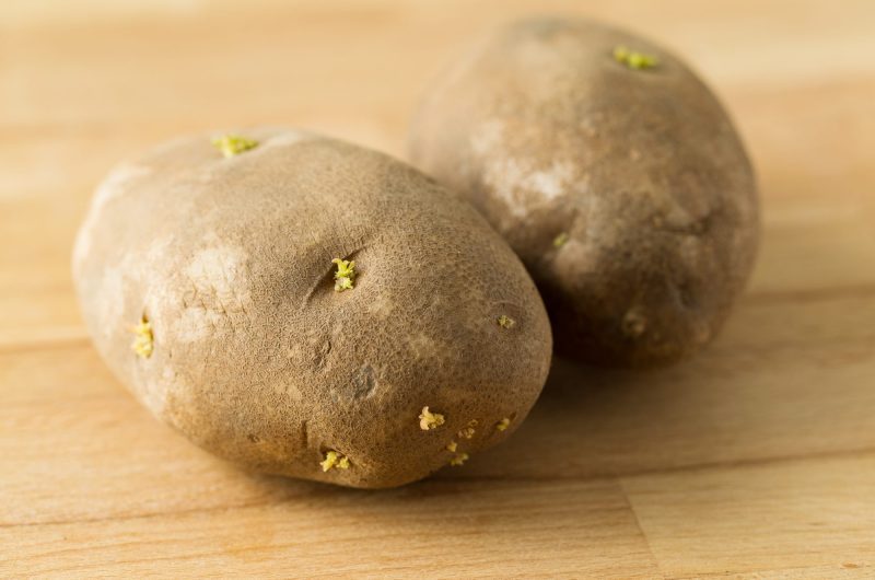 Comment éviter que les pommes de terre ne développent des germes pendant leur conservation ?