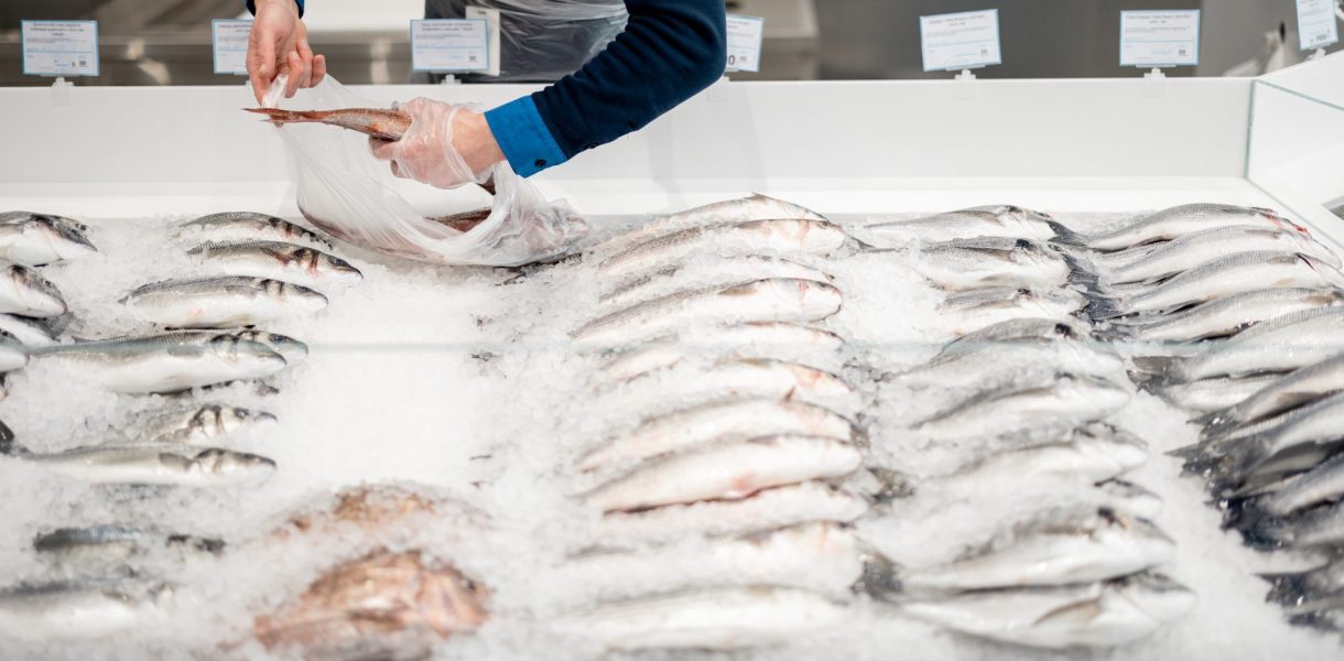 Guide du consommateur averti : Comment détecter la fraîcheur du poisson et des fruits de mer au supermarché