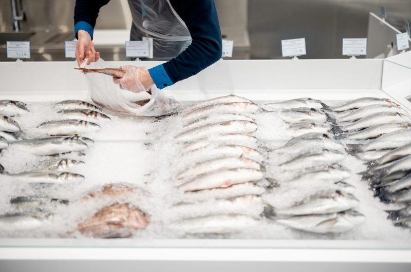 Guide du consommateur averti : Comment détecter la fraîcheur du poisson et des fruits de mer au supermarché