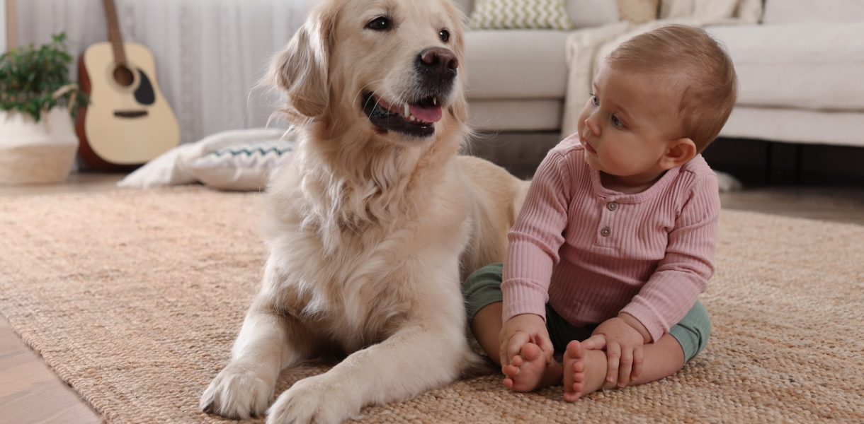 Une amitié hors du commun entre un chien et un nourrisson devient virale sur les plateformes sociales.