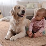 Une amitié hors du commun entre un chien et un nourrisson devient virale sur les plateformes sociales.