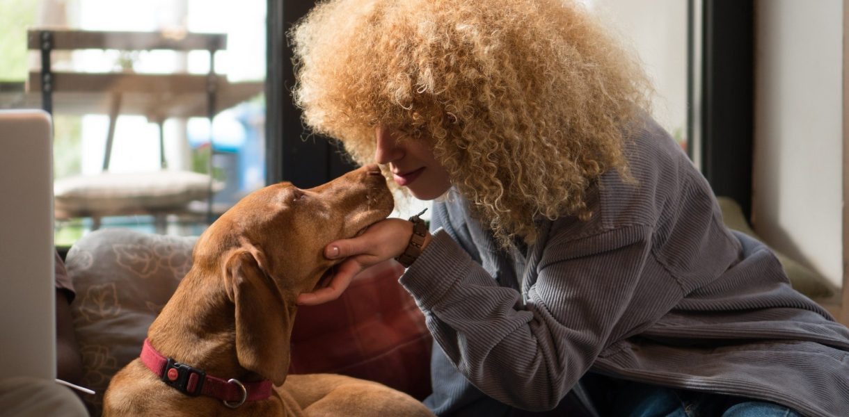 Le langage secret des chiens : Comment savoir si votre compagnon poilu se sent aimé et choyé ?