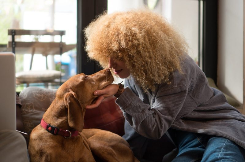 Le langage secret des chiens : Comment savoir si votre compagnon poilu se sent aimé et choyé ?