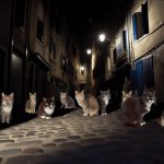 Plusieurs chats dans une ruelle sombre, éclairée seulement par la lumière de la lune.