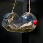 Fabriquez une mangeoire à oiseaux en bouteille de plastique : mode d'emploi écologique et créatif