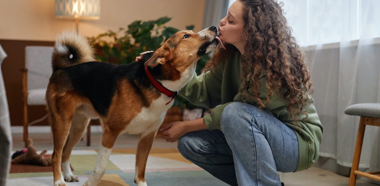 Les mystères de l'affection canine : pourquoi nos amis à quatre pattes aiment tant lécher nos visages ?