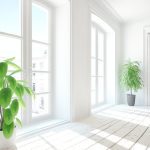 Un intérieur de maison lumineux et aéré, avec des murs blancs, des fenêtres grandes ouvertes laissant entrer la lumière du jour et des plantes d'intérieur.