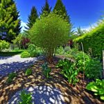 Un jardin ombragé avec des zones éclairées par le soleil, mettant en évidence des plantes et des arbres colorés.