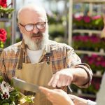 Les 8 clés de la productivité jusqu'à l'âge de la retraite : le secret des seniors actifs