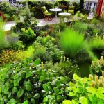 30 idées de plantations faciles pour transformer votre terrasse en oasis verdoyante