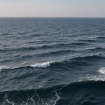 Pourquoi la mer Noire est-elle moins salée que la mer Méditerranée ?