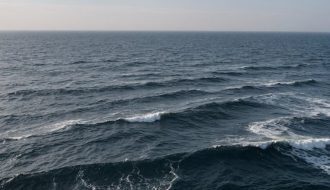 Pourquoi la mer Noire est-elle moins salée que la mer Méditerranée ?