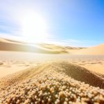 Le sable du désert : un matériau inadapté pour la construction