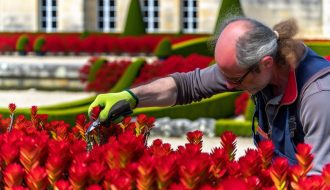 Tailler les photinias pour préserver leur éclat rouge : le moment clé et les méthodes à adopter