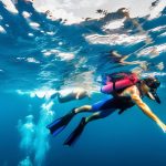 Découvrir les merveilles du monde sous-marin: plongée et exploration des océans