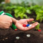 Ne jetez plus vos capsules de bouteilles : l'arme secrète contre les nuisibles au jardin !