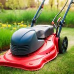 Donnez une seconde vie à votre gazon : comment réutiliser efficacement l'herbe de tonte au jardin