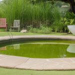 La piscine lagon : un paradis aquatique dans votre jardin ?