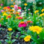 Cendres de poêle à bois : l'or vert de votre jardin pour un printemps éclatant